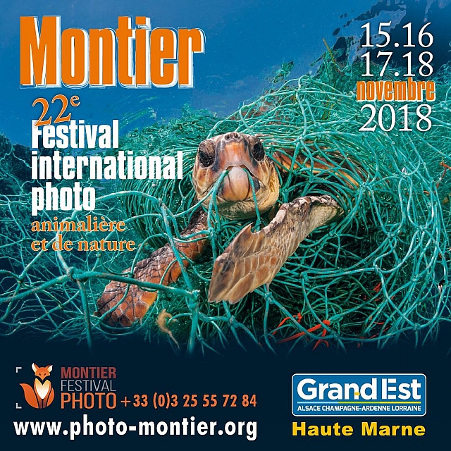 Festival international de la Photo Animalière et de Nature de Montier-en-Der